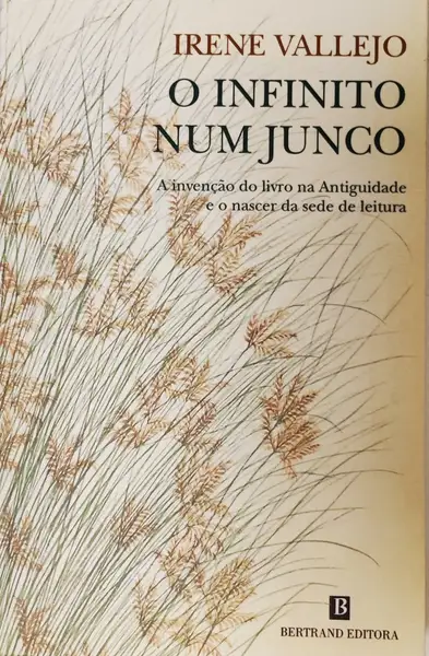O infinito num junco